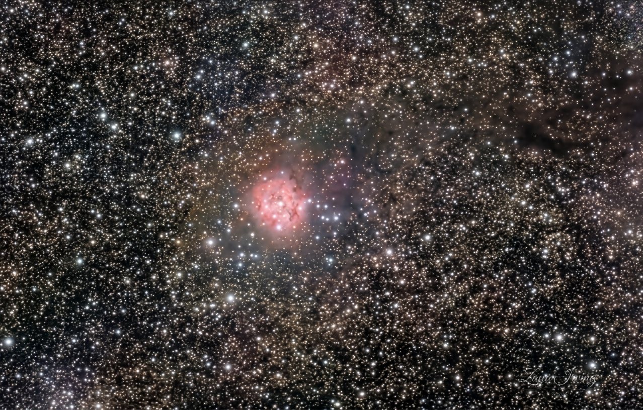 The Cocoon Nebula region