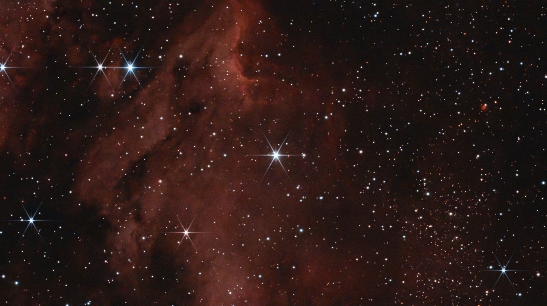 IC 5070, the Pelican Nebula