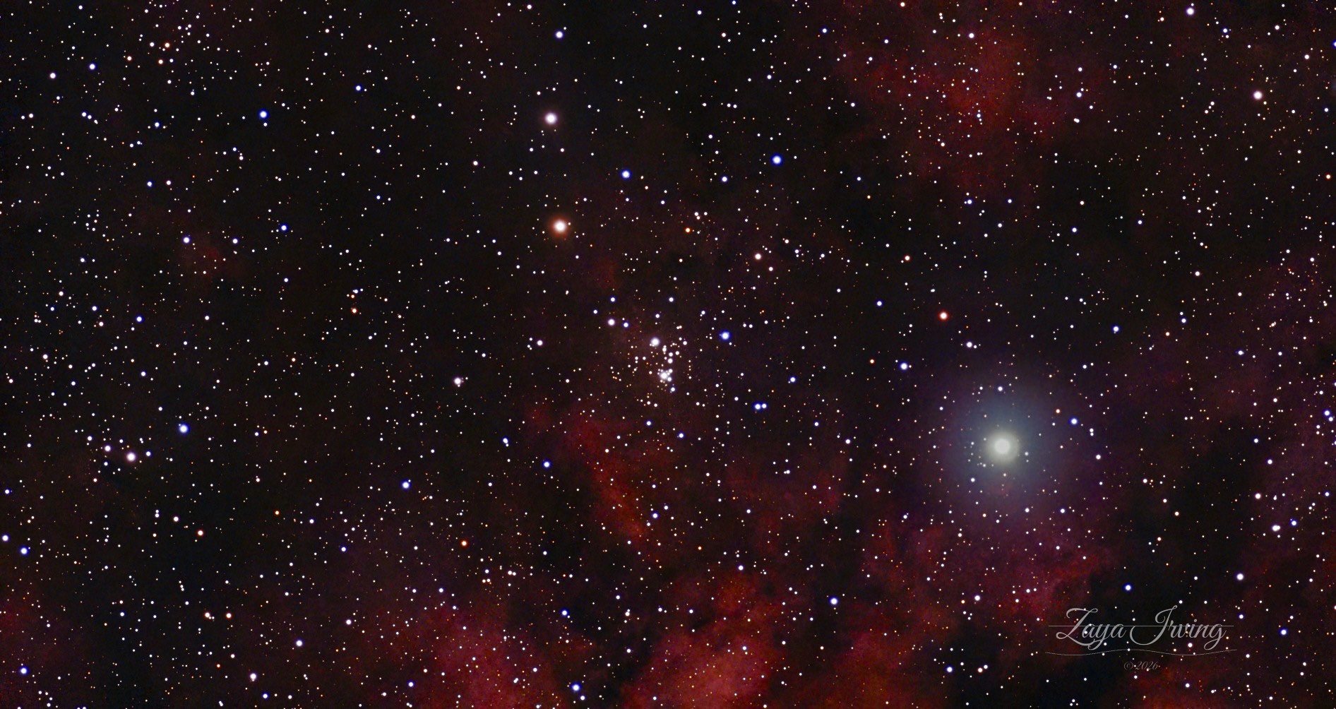 NGC 6910 star field, the Rocking Horse Cluster